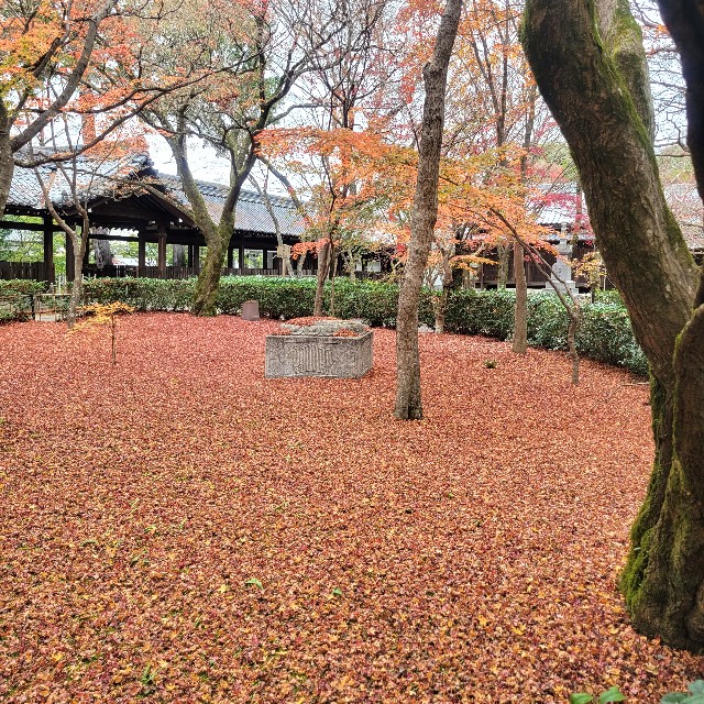 f:id:atoriatoriatori:20230204091407j:image f:id:atoriatoriatori:20230204091407j:image