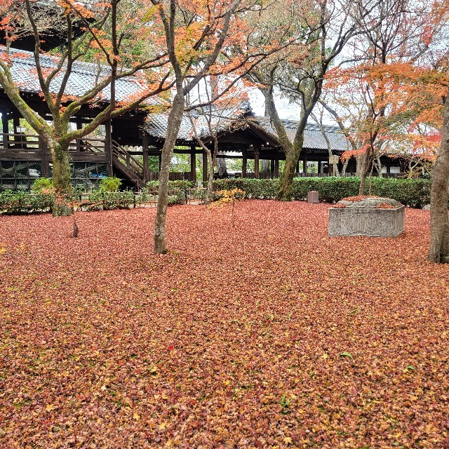 f:id:atoriatoriatori:20230204091414j:image f:id:atoriatoriatori:20230204091414j:image