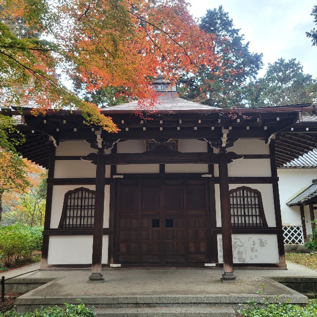 f:id:atoriatoriatori:20230204091802j:image f:id:atoriatoriatori:20230204091802j:image