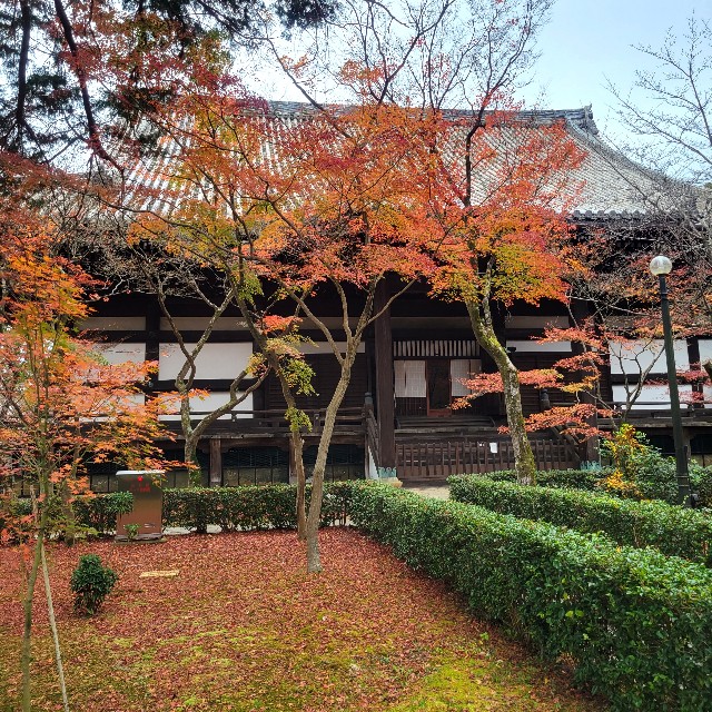f:id:atoriatoriatori:20230204092010j:image f:id:atoriatoriatori:20230204092010j:image