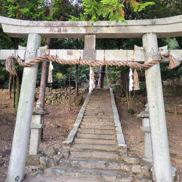 f:id:atoriatoriatori:20230205203117j:image f:id:atoriatoriatori:20230205203117j:image