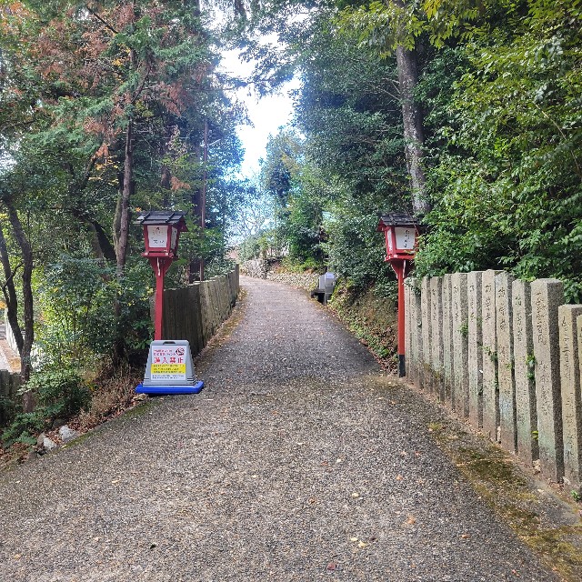 f:id:atoriatoriatori:20230205213712j:image f:id:atoriatoriatori:20230205213712j:image