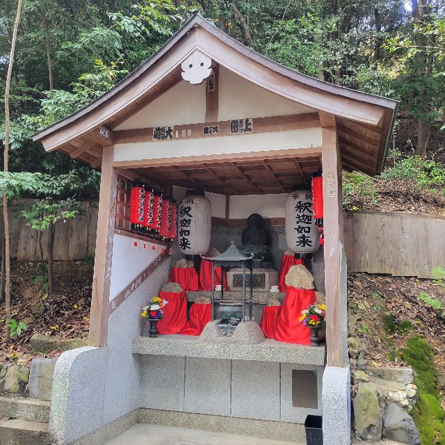 f:id:atoriatoriatori:20230205213721j:image f:id:atoriatoriatori:20230205213721j:image