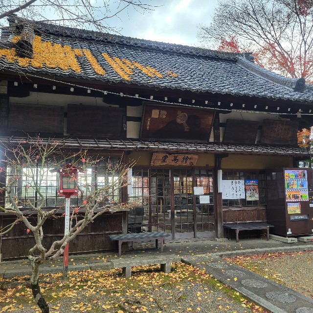f:id:atoriatoriatori:20230206090047j:image f:id:atoriatoriatori:20230206090047j:image