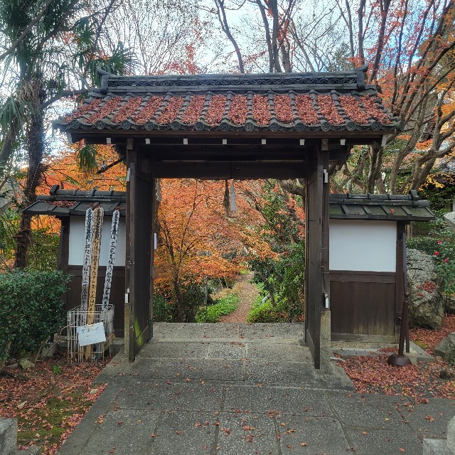 f:id:atoriatoriatori:20230206093055j:image f:id:atoriatoriatori:20230206093055j:image