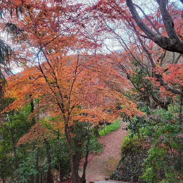 f:id:atoriatoriatori:20230206093101j:image f:id:atoriatoriatori:20230206093101j:image