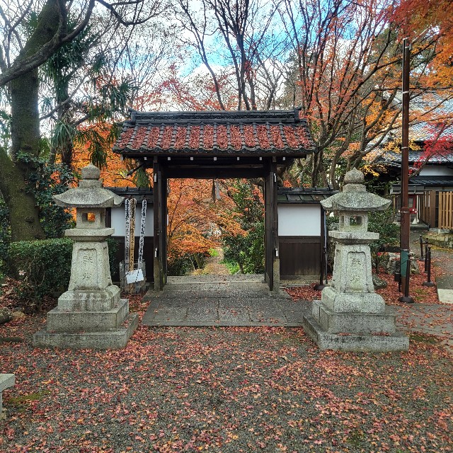 f:id:atoriatoriatori:20230206093402j:image f:id:atoriatoriatori:20230206093402j:image