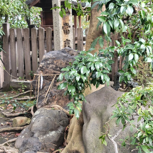 f:id:atoriatoriatori:20230207102303j:image