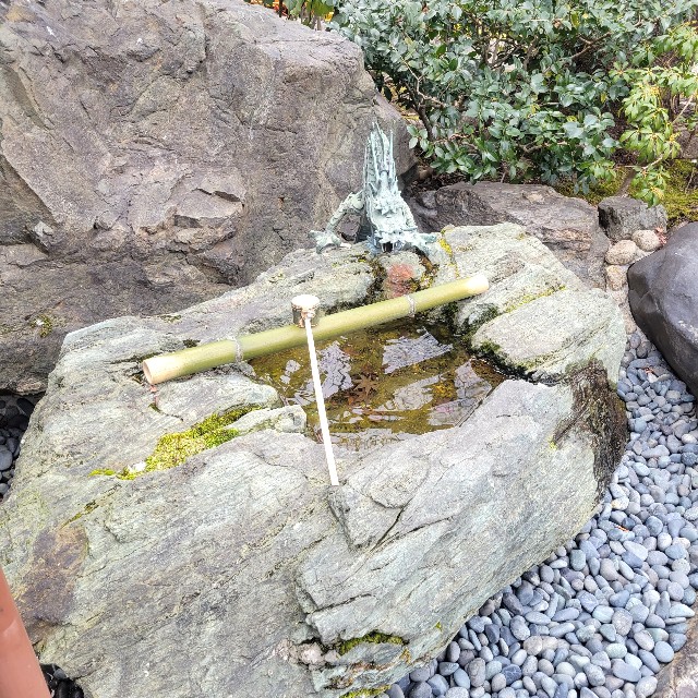 f:id:atoriatoriatori:20230207142205j:image