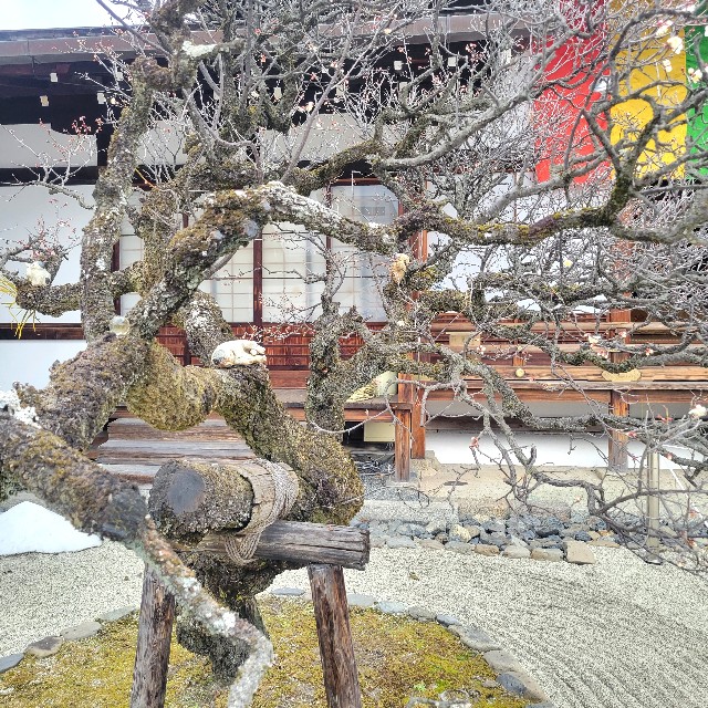 f:id:atoriatoriatori:20230208084059j:image