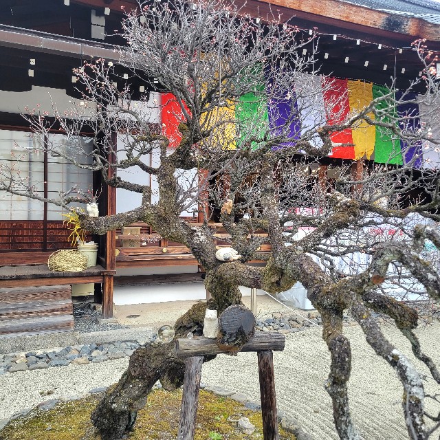 f:id:atoriatoriatori:20230208084106j:image