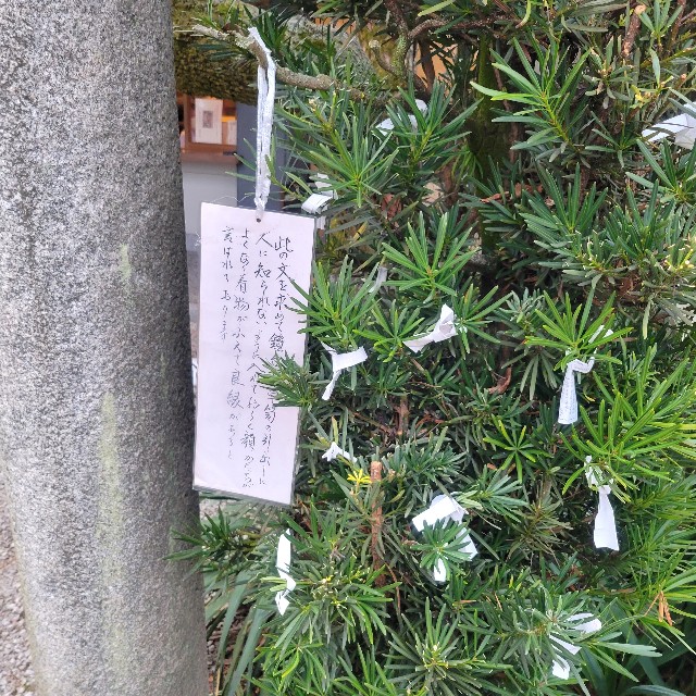 f:id:atoriatoriatori:20230209111106j:image