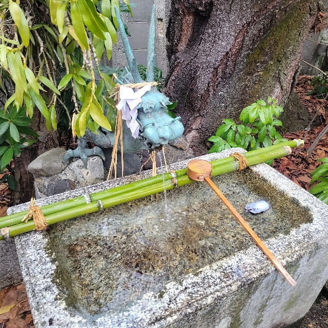 f:id:atoriatoriatori:20230209111514j:image