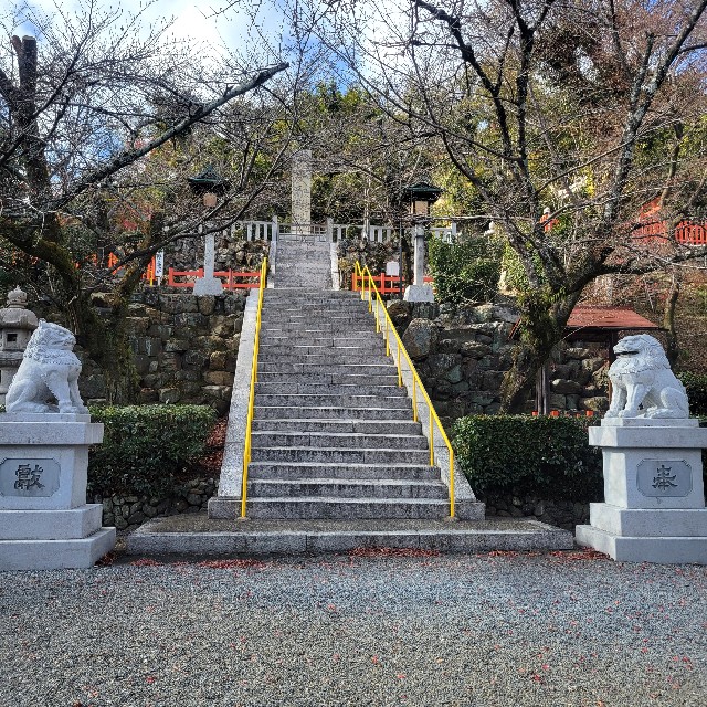 f:id:atoriatoriatori:20230210085239j:image