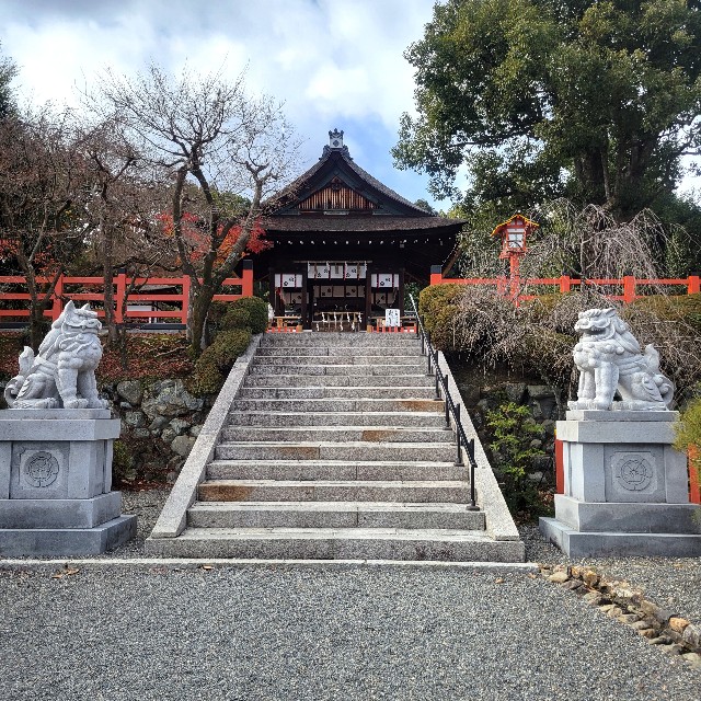 f:id:atoriatoriatori:20230210102247j:image