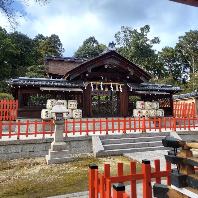 f:id:atoriatoriatori:20230210112130j:image