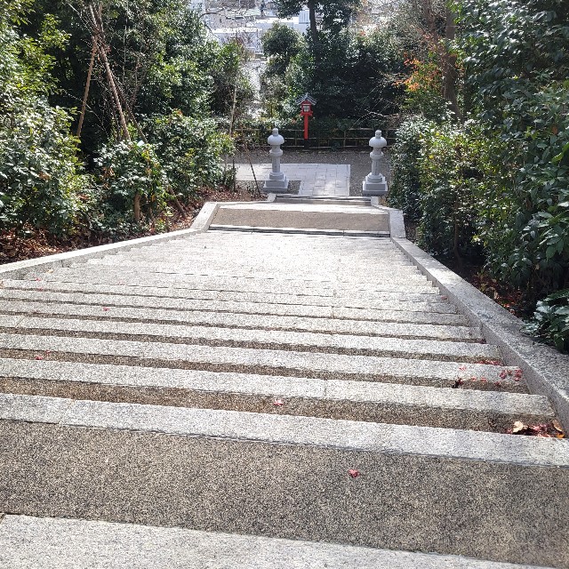 f:id:atoriatoriatori:20230210132552j:image