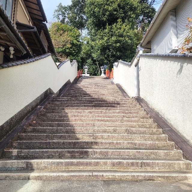f:id:atoriatoriatori:20230210132613j:image