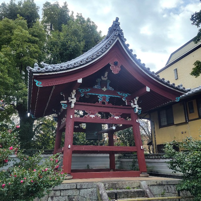 f:id:atoriatoriatori:20230212203128j:image