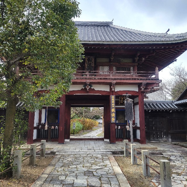 f:id:atoriatoriatori:20230212203654j:image