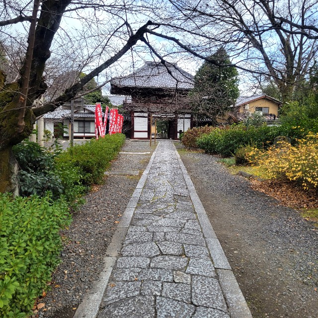 f:id:atoriatoriatori:20230212205848j:image