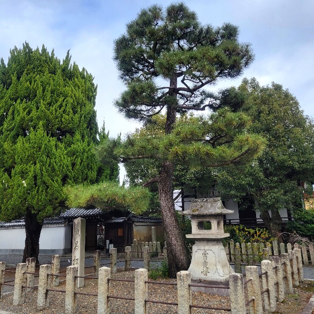 f:id:atoriatoriatori:20230213093713j:image