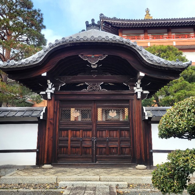 f:id:atoriatoriatori:20230213103509j:image
