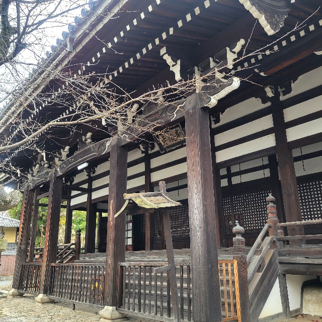 f:id:atoriatoriatori:20230213103518j:image
