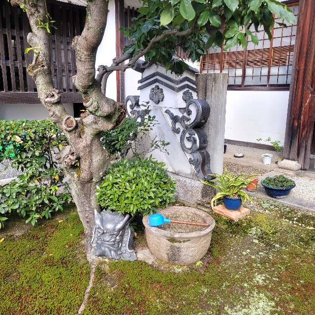 f:id:atoriatoriatori:20230213121405j:image