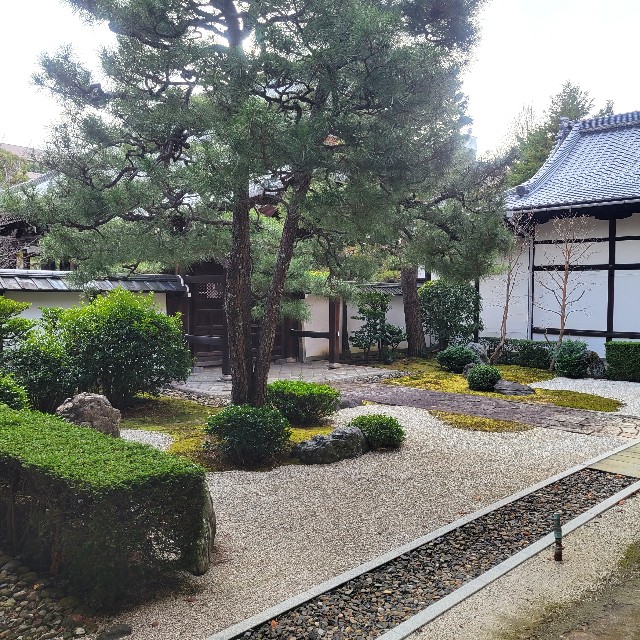 f:id:atoriatoriatori:20230213131443j:image