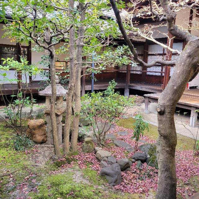 f:id:atoriatoriatori:20230213132455j:image