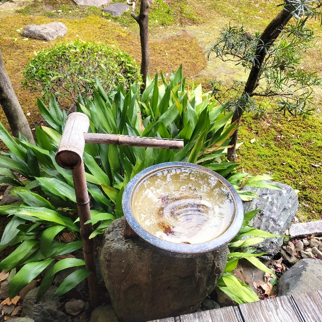 f:id:atoriatoriatori:20230213180728j:image