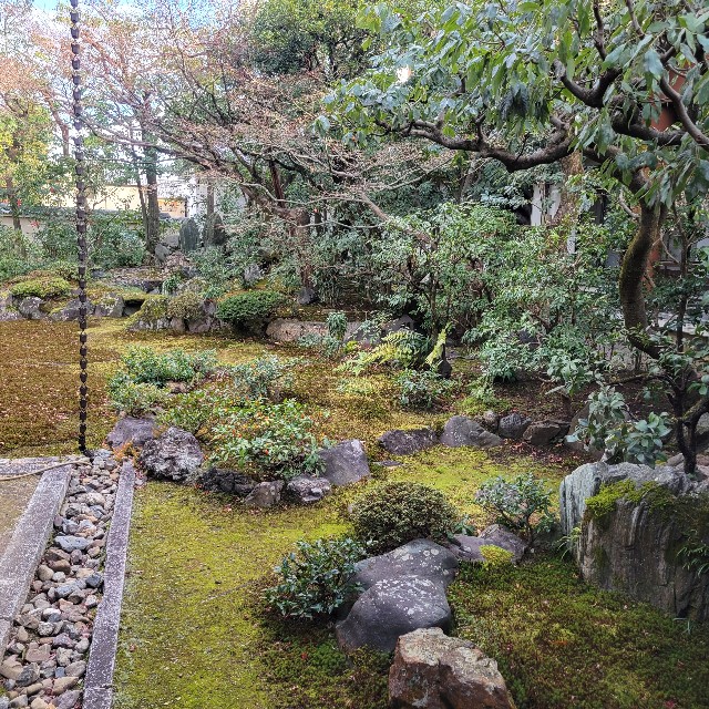 f:id:atoriatoriatori:20230213180746j:image