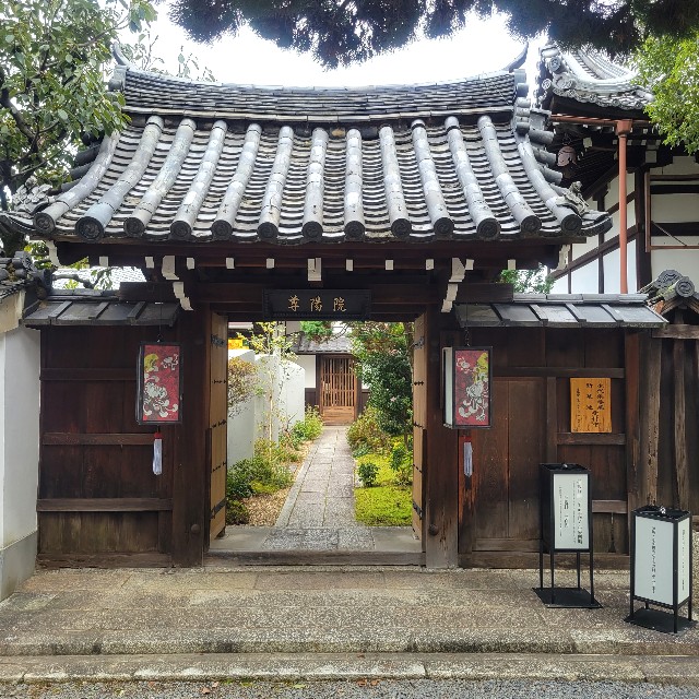 f:id:atoriatoriatori:20230214105830j:image