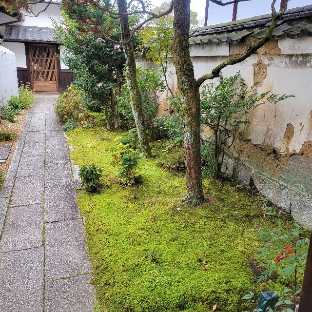 f:id:atoriatoriatori:20230214202510j:image
