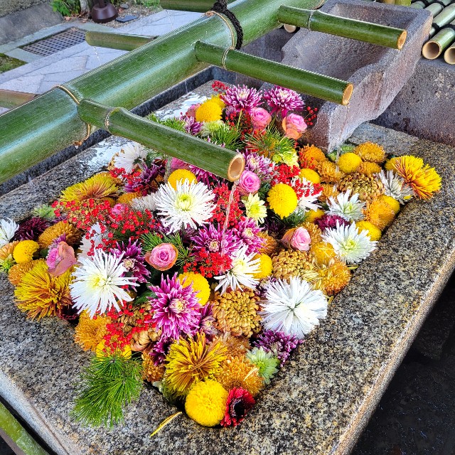 f:id:atoriatoriatori:20230216203006j:image