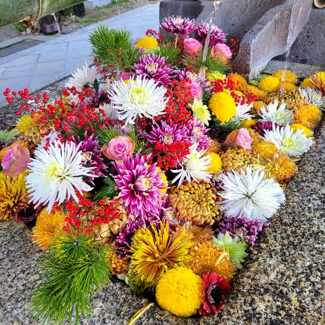 f:id:atoriatoriatori:20230216203013j:image