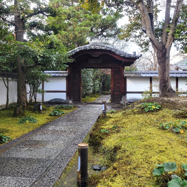 f:id:atoriatoriatori:20230216220645j:image