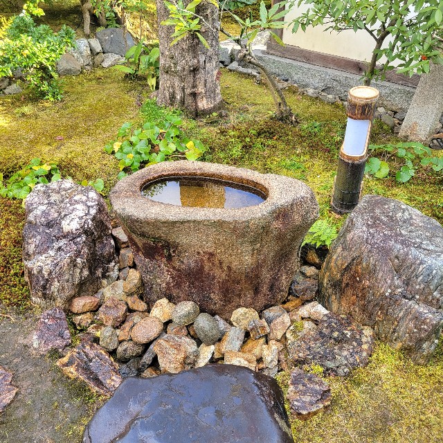 f:id:atoriatoriatori:20230216222135j:image