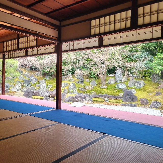 f:id:atoriatoriatori:20230220100237j:image