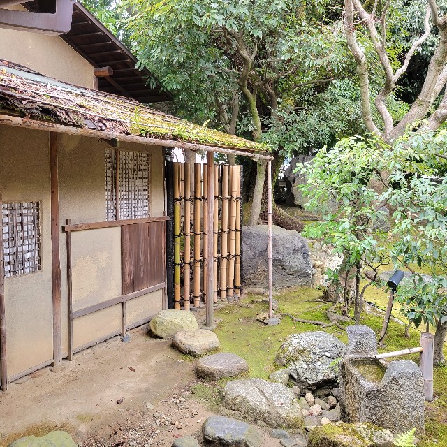 f:id:atoriatoriatori:20230220100254j:image