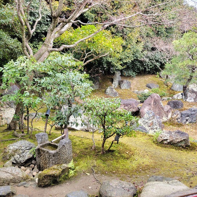 f:id:atoriatoriatori:20230220100303j:image