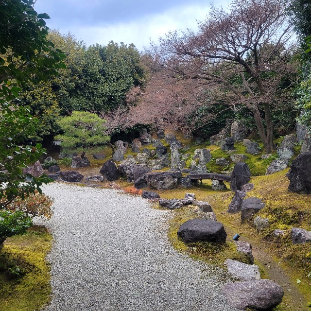 f:id:atoriatoriatori:20230220110400j:image