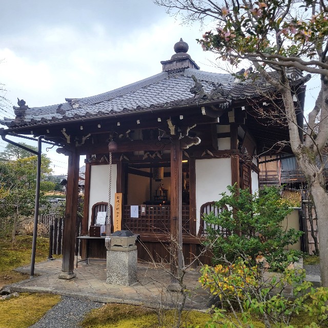 f:id:atoriatoriatori:20230220153000j:image f:id:atoriatoriatori:20230220153000j:image