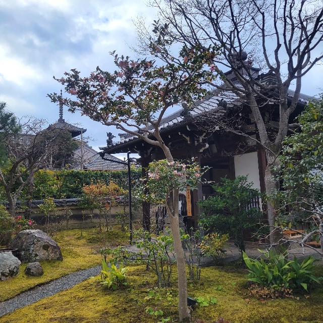 f:id:atoriatoriatori:20230220154901j:image f:id:atoriatoriatori:20230220154901j:image