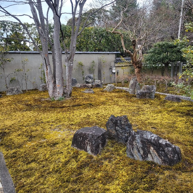 f:id:atoriatoriatori:20230220155145j:image f:id:atoriatoriatori:20230220155145j:image
