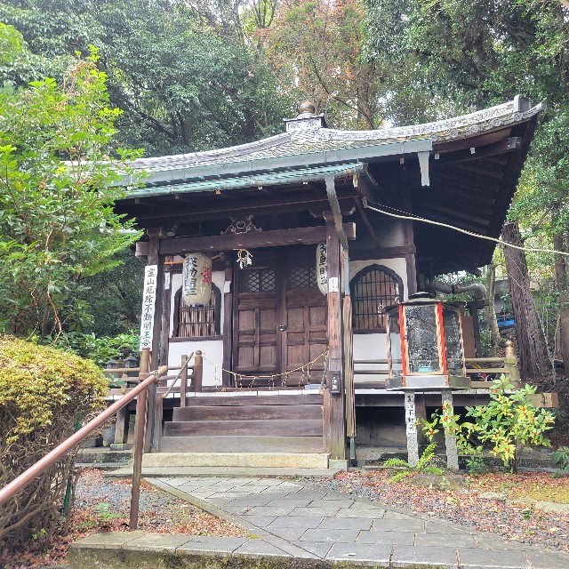f:id:atoriatoriatori:20230220203243j:image f:id:atoriatoriatori:20230220203243j:image