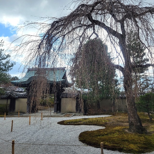 f:id:atoriatoriatori:20230223085855j:image