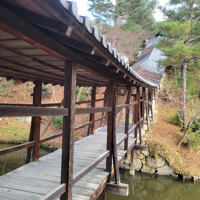 f:id:atoriatoriatori:20230223095655j:image