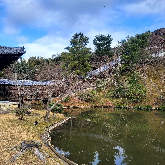 f:id:atoriatoriatori:20230223100542j:image